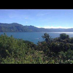 Meet your Posher, Diana